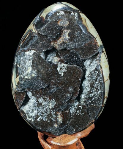 Septarian Dragon Egg Geode - Crystal Filled #73781